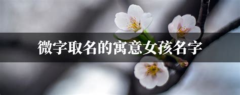 薇名字|薇字的名字寓意是什么意思 薇字的意思